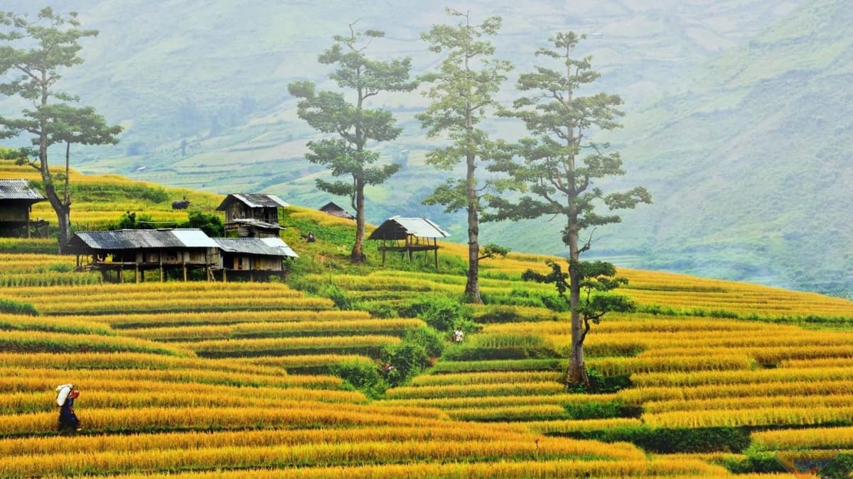 Thư viện ảnh