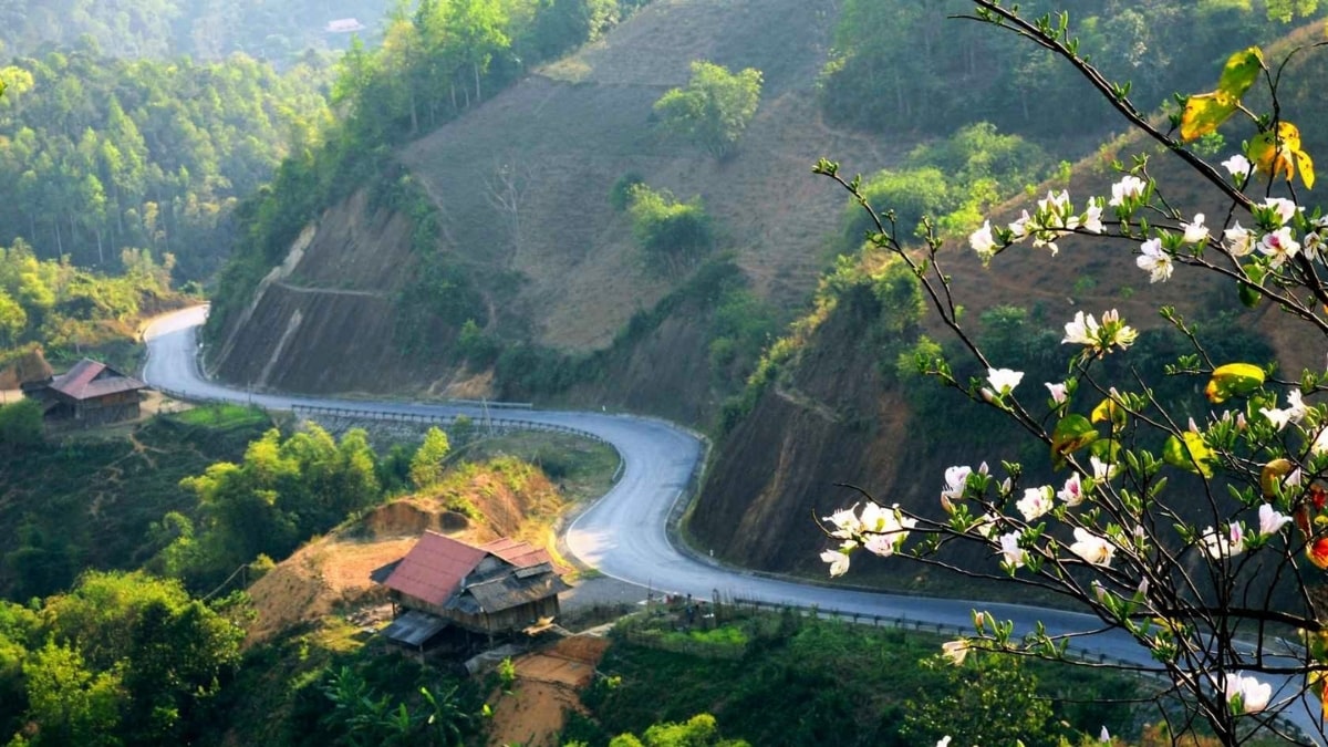 Thư viện ảnh