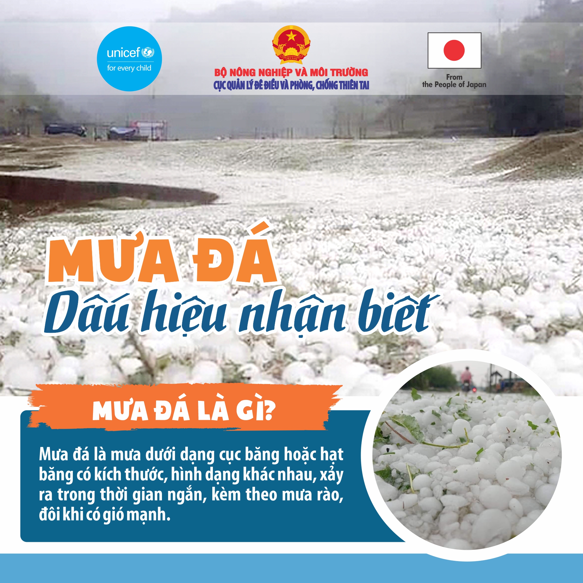 Chủ động ứng phó với mưa đá