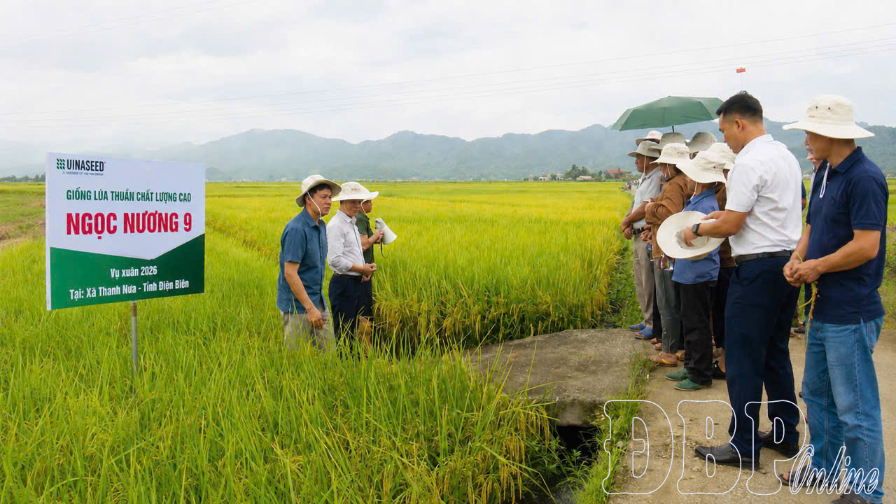 Thanh Nưa phát triển thế mạnh để nâng cao thu nhập